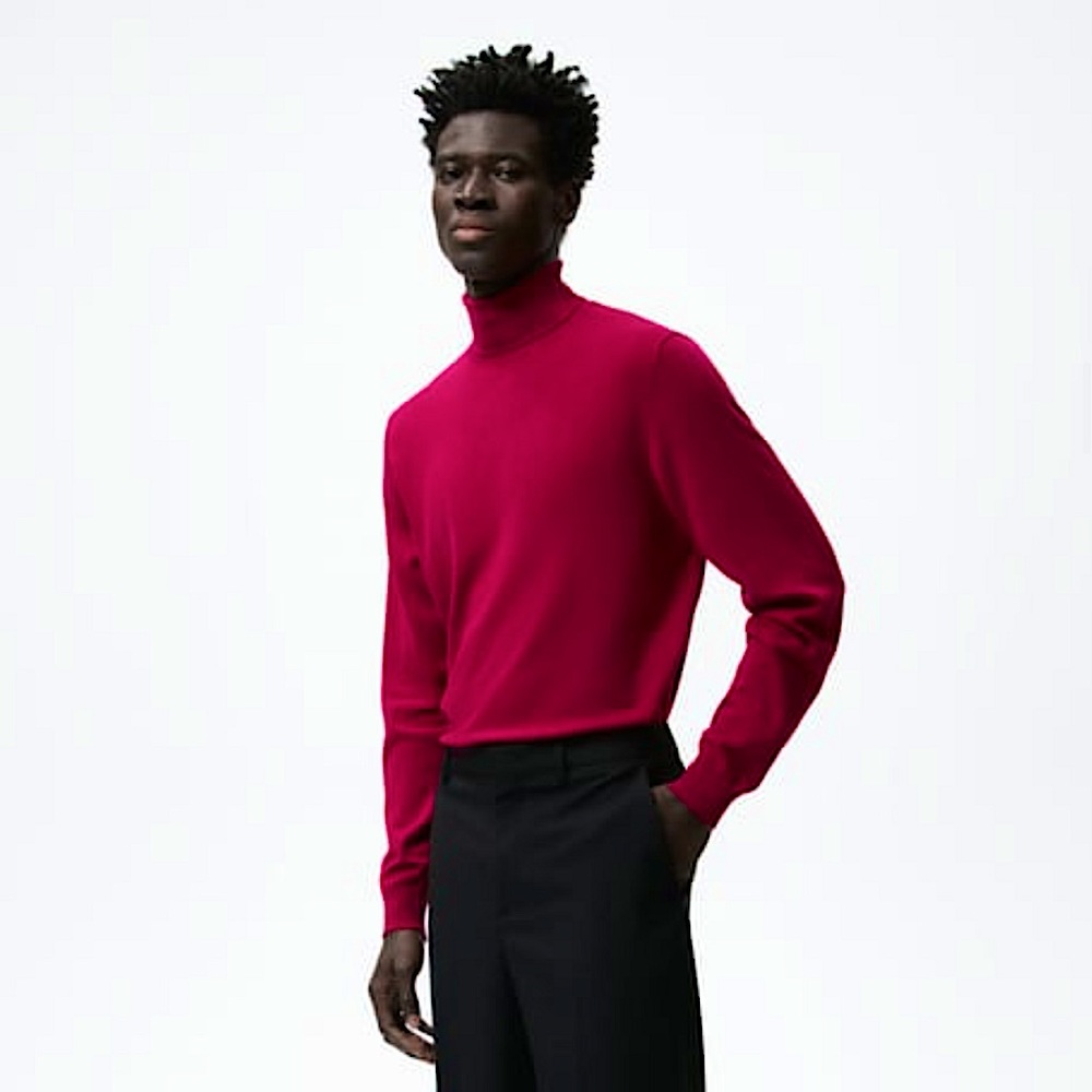 Zara men BASIC HIGH COLLAR SWEATER
FUCHSIA